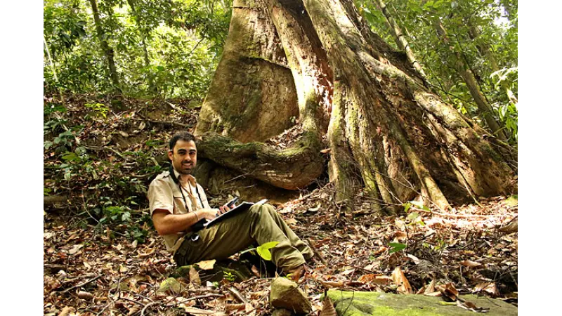Engenheiro Florestal Brasileiro identifica a maior árvore do mundo