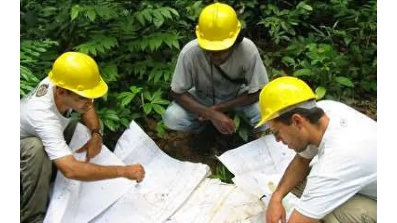 Engenheiro Florestal é o mais bem pago da área ambiental