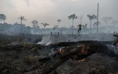 Entenda porque metade da floresta amazônica pode virar savana