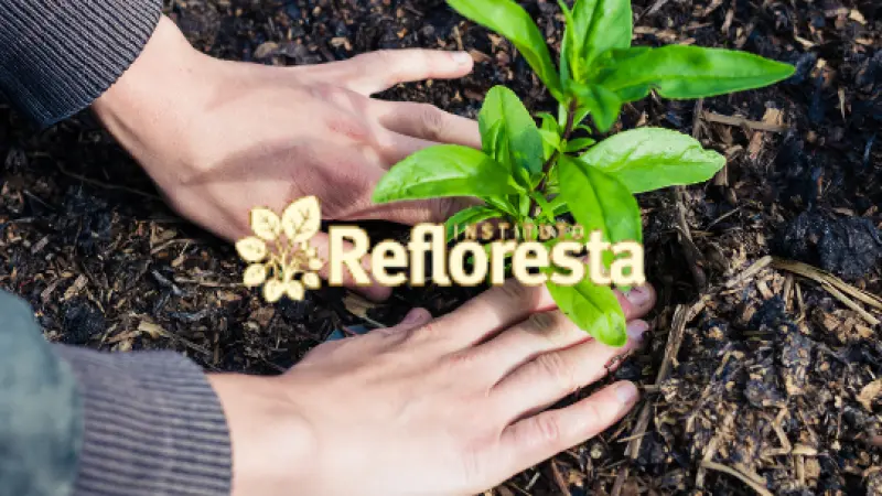 Estado de São Paulo lança o Refloresta SP e assina novo ICMS Ambiental