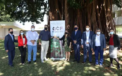 Estados da Amazônia Legal contra o desmatamento