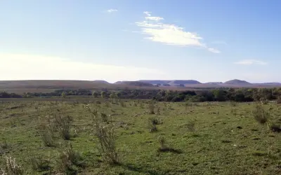 Estudo aponto que o Pampa abriga 9% da biodiversidade do Brasil
