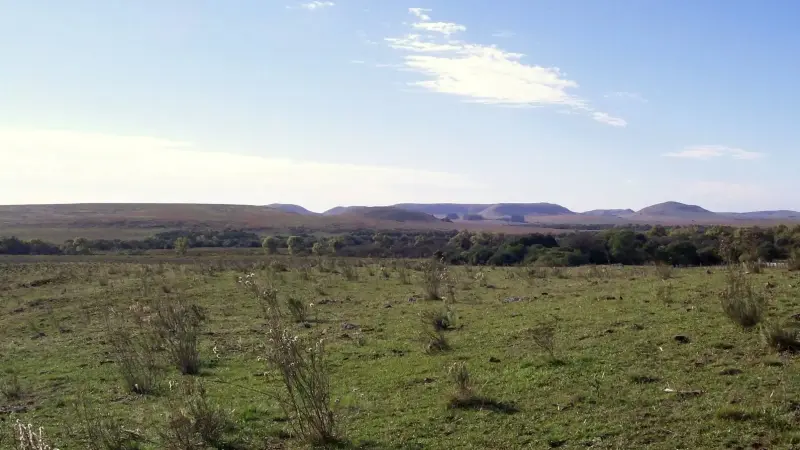 Estudo aponto que o Pampa abriga 9% da biodiversidade do Brasil