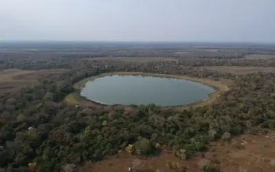Estudo avalia como as emissões das 'lagoas de soda' do Pantanal contribuem para a mudança climática