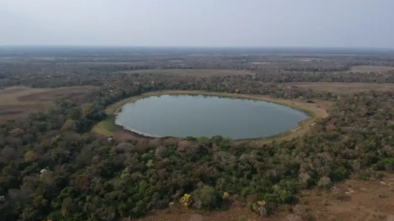 Estudo avalia como as emissões das 'lagoas de soda' do Pantanal contribuem para a mudança climática