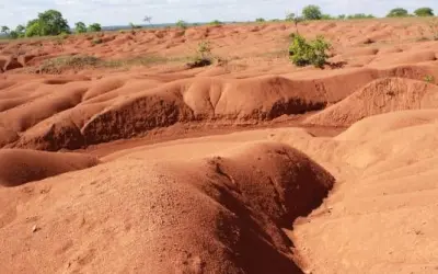 Estudo mapeia regiões mais suscetíveis à desertificação no Brasil
