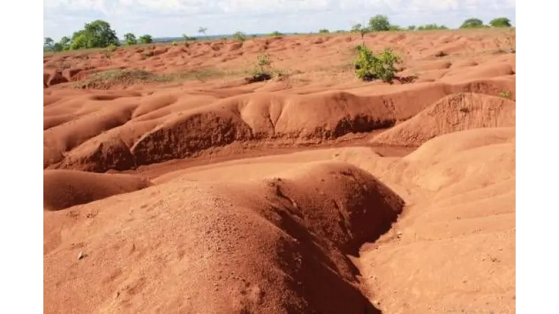Estudo mapeia regiões mais suscetíveis à desertificação no Brasil