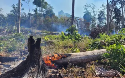Estudo mostra que proibições emergenciais de incêndio são insuficientes