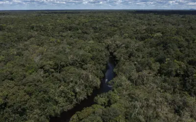 Estudo realizado pela Global Forest Watch demonstra que Brasil reduziu em 36% a perda de florestas em 2023