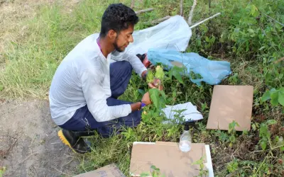 Etnobotânico indígena resgata 175 plantas medicinais do povo Pataxó Hã-Hã-Hãi