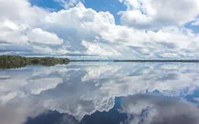 A Dança das Águas: Como os rios da Amazônia moldaram o relevo e a biodiversidade ao longo de 500 mil anos
