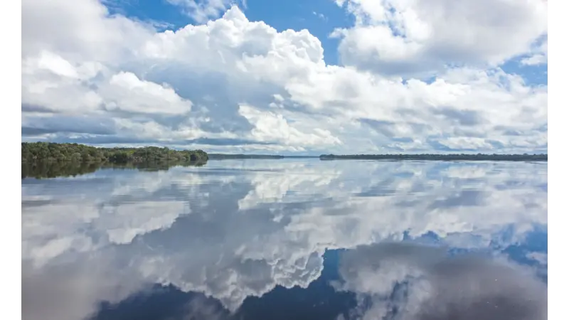 A Dança das Águas: Como os rios da Amazônia moldaram o relevo e a biodiversidade ao longo de 500 mil anos