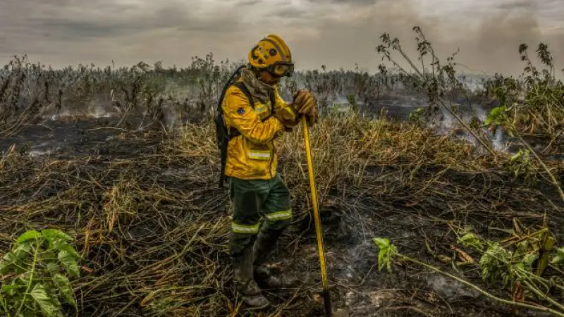 Expansão da agropecuária no Cerrado impacta a intensidade de incêndios no Pantanal