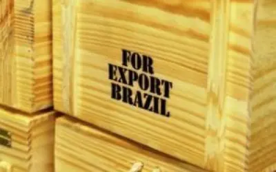 Exportações do setor de árvores plantadas apresentaram bom desempenho no 1º trimestre de 2016