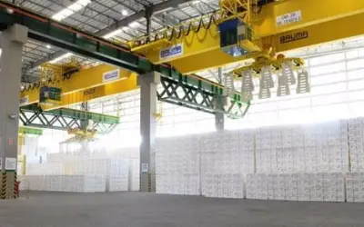 Exportações do setor florestal superam os US$ 4 bilhões no primeiro semestre deste ano