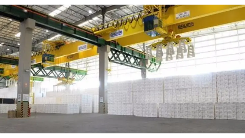 Exportações do setor florestal superam os US$ 4 bilhões no primeiro semestre deste ano