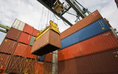 Exportações do setor florestal ultrapassam US$7,7 bilhões