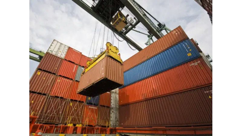 Exportações do setor florestal ultrapassam US$7,7 bilhões
