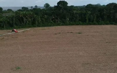 "Expulsão por sufocamento": estudo da USP revela como a soja e agrotóxicos esvaziam o Baixo Tapajós