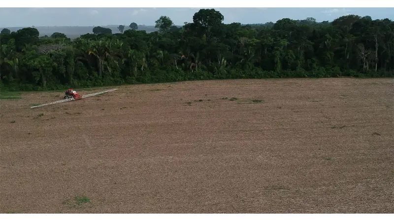 "Expulsão por sufocamento": estudo da USP revela como a soja e agrotóxicos esvaziam o Baixo Tapajós