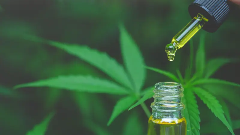Extrato de cannabis fabricado no Brasil é aprovado pela Anvisa