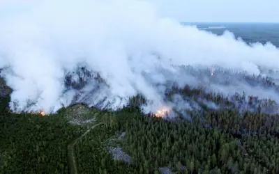 Finlândia sofre maior incêndio florestal em 50 anos
