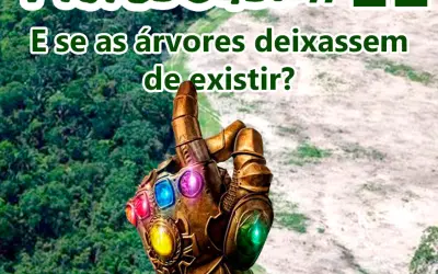 FloresCast #11 - E se as árvores deixassem de existir?