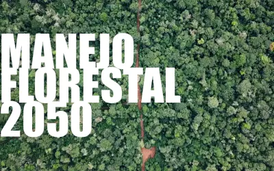 FloresCast #17 - Manejo Florestal 2050