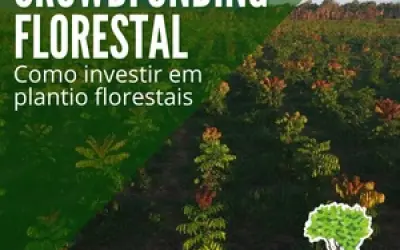 FloresCast #26 - CROWDFUNDING FLORESTAL - Como investir em plantios florestais?