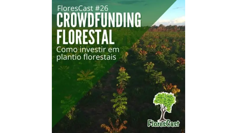 FloresCast #26 - CROWDFUNDING FLORESTAL - Como investir em plantios florestais?