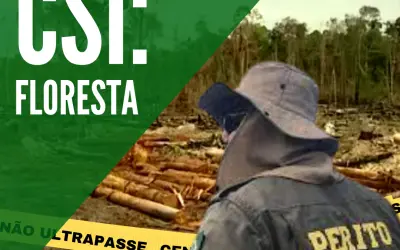 FloresCast #28 - CSI: Floresta