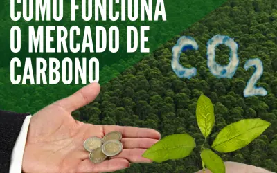 FloresCast #29 - Como funciona o mercado de carbono