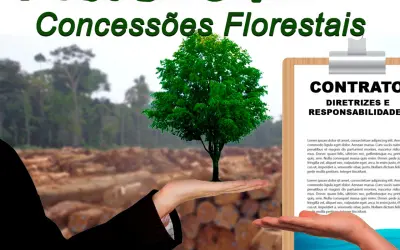 FloresCast #9 - Concessões Florestais