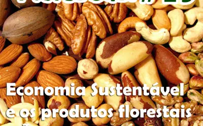FloresCast #19 - Economia sustentável e os produtos florestais NÃO madeireiros