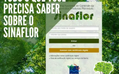 FloresCast #20 - Tudo o que você precisa saber sobre o SINAFLOR