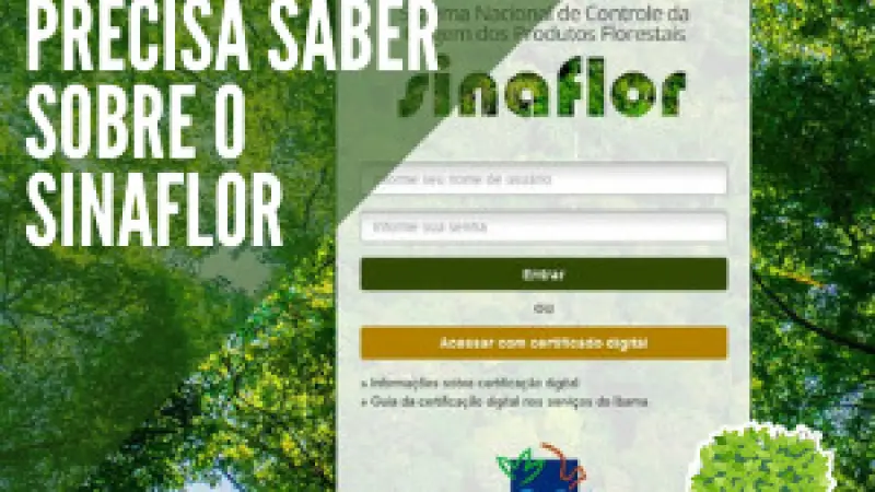 FloresCast #20 - Tudo o que você precisa saber sobre o SINAFLOR