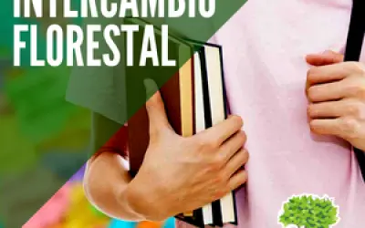 FloresCast #23 - Como ser Engenheiro Florestal fora do Brasil