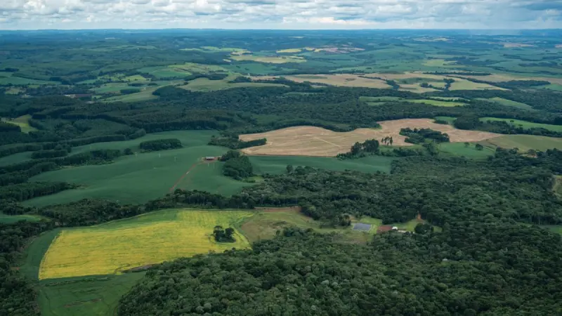Qual protege melhor a biodiversidade: uma floresta contínua ou vários fragmentos menores?