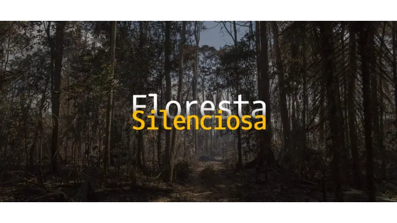 Floresta Silenciosa: plataforma alerta sobre a gravidade da degradação florestal na Amazônia