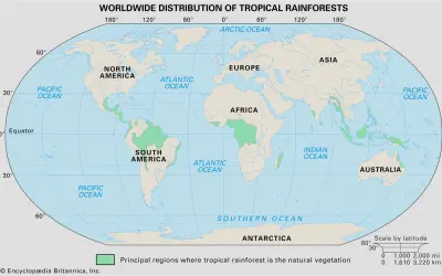 Floresta tropical pelo mundo