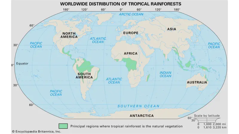 Floresta tropical pelo mundo