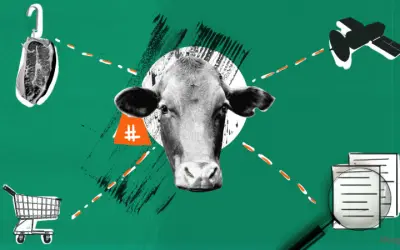 Foi realizado no MT a primeira reunião para debater a rastreabilidade bovina