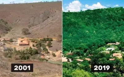 Fotógrafo Sebastião Salgado restaurou 17 mil acres de terra com 4 milhões de árvores
