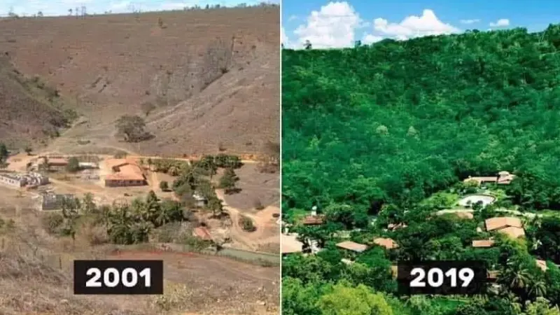 Fotógrafo Sebastião Salgado restaurou 17 mil acres de terra com 4 milhões de árvores