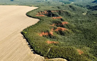 Fracasso na proteção do Cerrado leva a perdas irreversíveis para o agronegócio