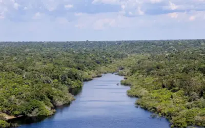 A Interconexão Global: Como o frio nos EUA regula a viagem de nutrientes da África para a Amazônia