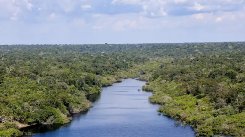 A Interconexão Global: Como o frio nos EUA regula a viagem de nutrientes da África para a Amazônia