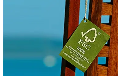 FSC® Brasil lança campanha em vídeo sobre consumo responsável da madeira