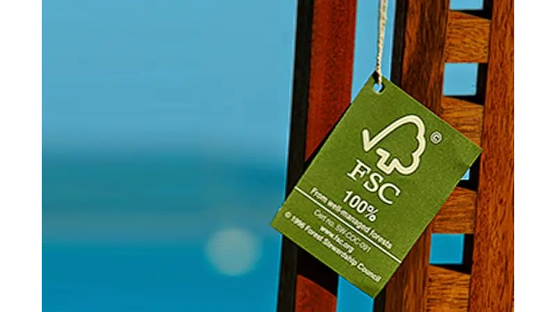 FSC® Brasil lança campanha em vídeo sobre consumo responsável da madeira