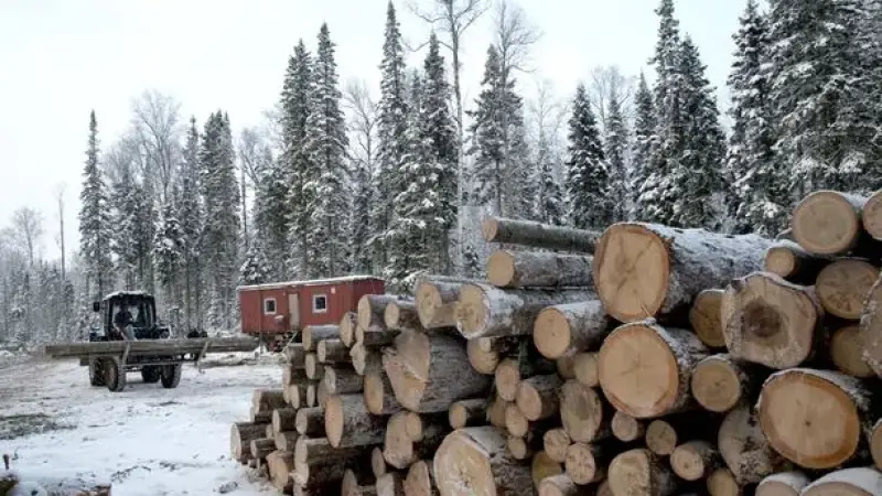 FSC suspende certificação de empresas da Rússia até que a invasão termine